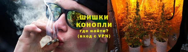 ПСИЛОЦИБИНОВЫЕ ГРИБЫ Белокуриха