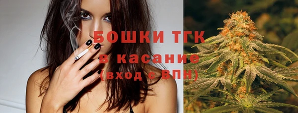 ПСИЛОЦИБИНОВЫЕ ГРИБЫ Белокуриха