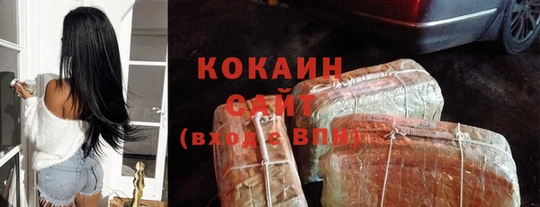 ПСИЛОЦИБИНОВЫЕ ГРИБЫ Белокуриха
