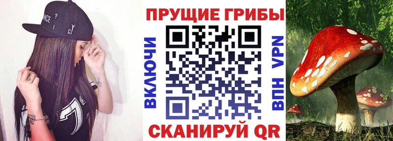 Галлюциногенные грибы Magic Shrooms  продажа наркотиков  Видное 